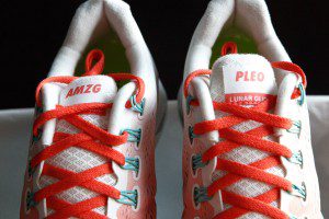 Amazing Paleo's NikeID Running Shoes