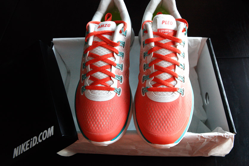 Amazing Paleo's NikeID Running Shoes