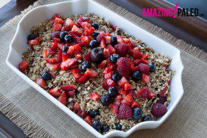 Paleo Nut and Berry Crunch