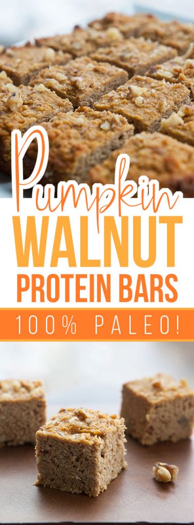 Pumpkin Walnut Protein Bars
