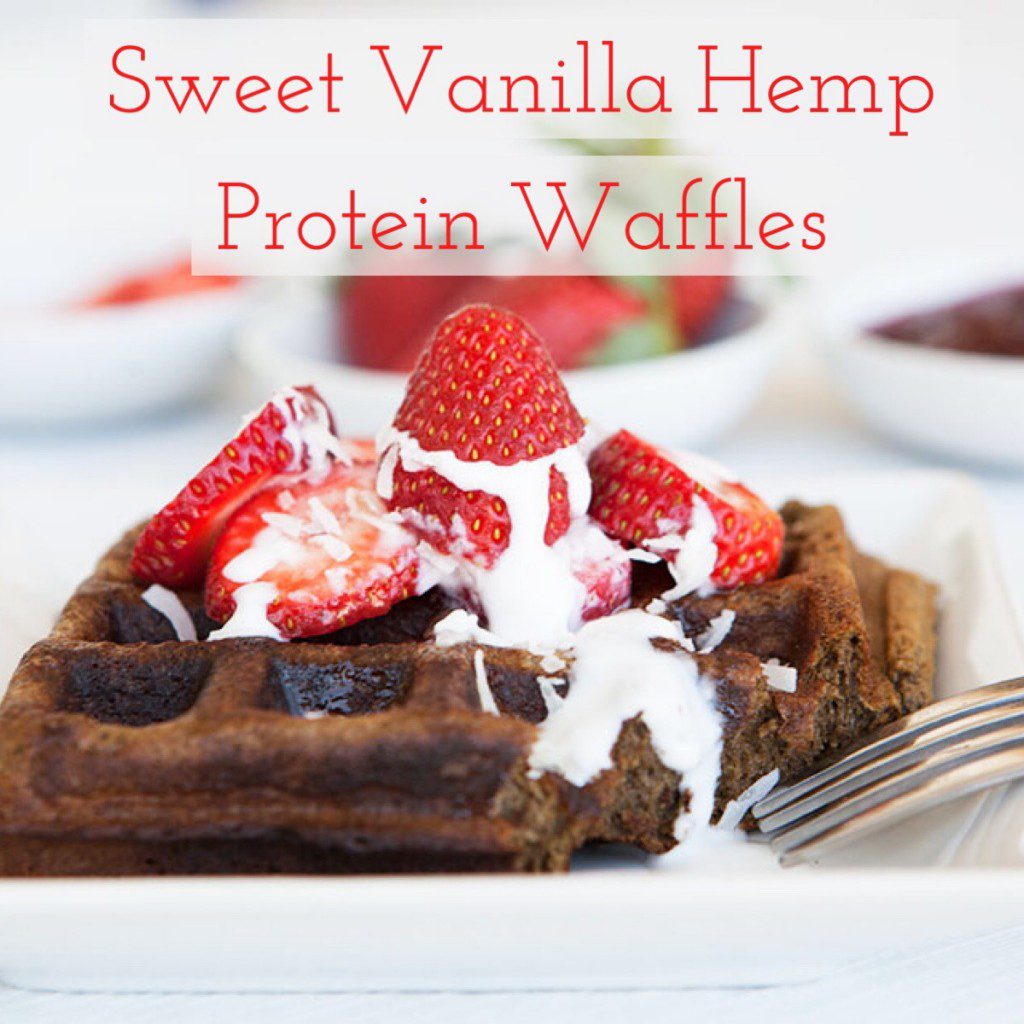 Sweet Vanilla Hemp Protein Waffles