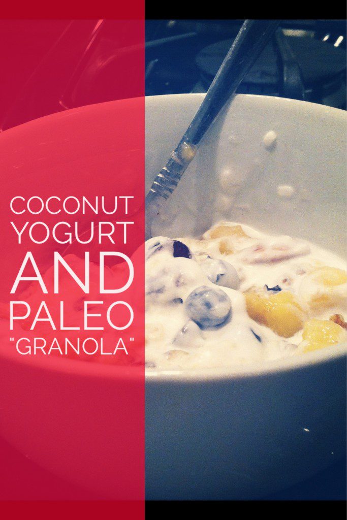 Coconut Yogurt and Paleo Nuts Granola