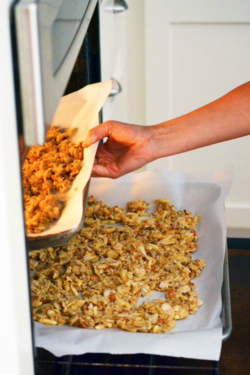 Tropical Paleo Granola