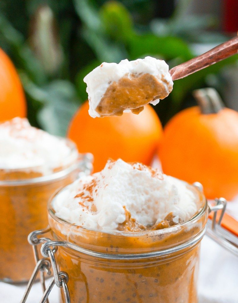 PUMPKIN PIE CHIA PUDDING (GLUTEN FREE, VEGAN, PALEO, REFINED SUGAR FREE)