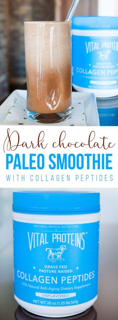 Dark Chocolate Smoothie with Collagen Peptides