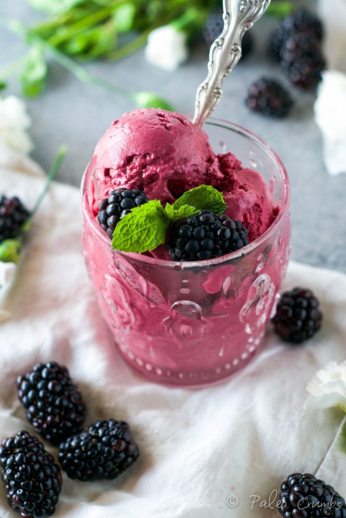 DAIRY FREE BLACKBERRY HONEY LEMON ICE CREAM