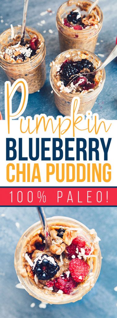Pumpkin Blueberry Chia Seed Puddings