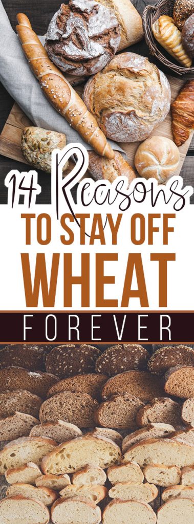 14 Reasons to Go Gluten-Free and Stay Off Wheat Forever