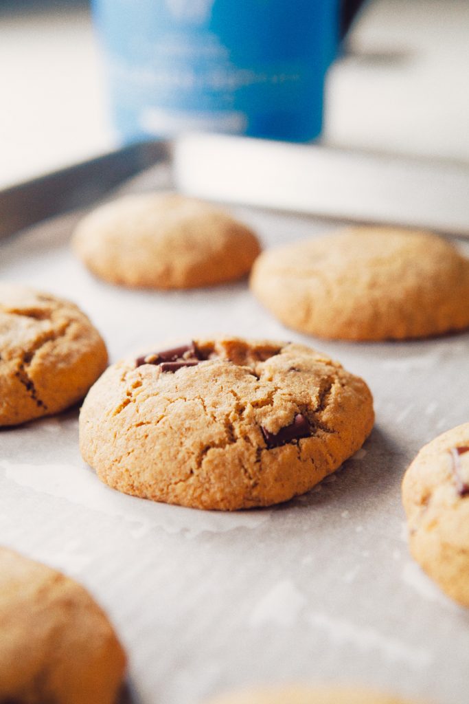 Best Paleo Chocolate Chip Cookies