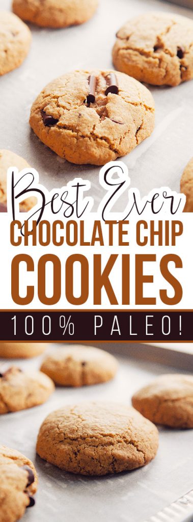 Best Paleo Chocolate Chip Cookies