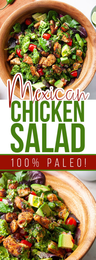 Epic Paleo Mexican Chicken Salad