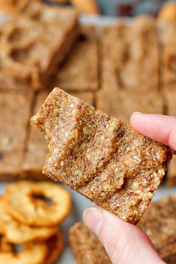 Paleo Apple Cinnamon Raisin Protein Bars